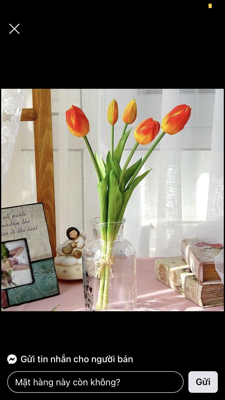 Bó hoa tulip cao cấp 3 bông 2 nụ