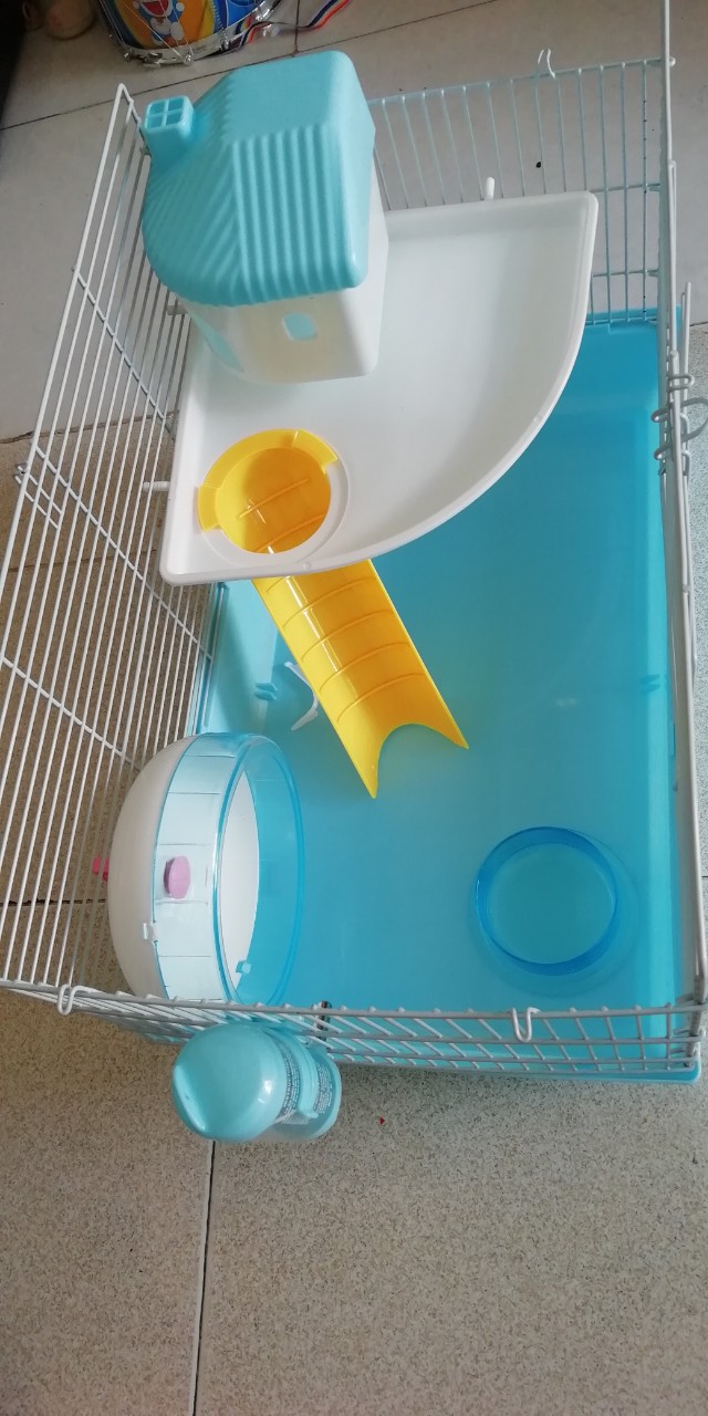 Lồng hamster, bọ Đại