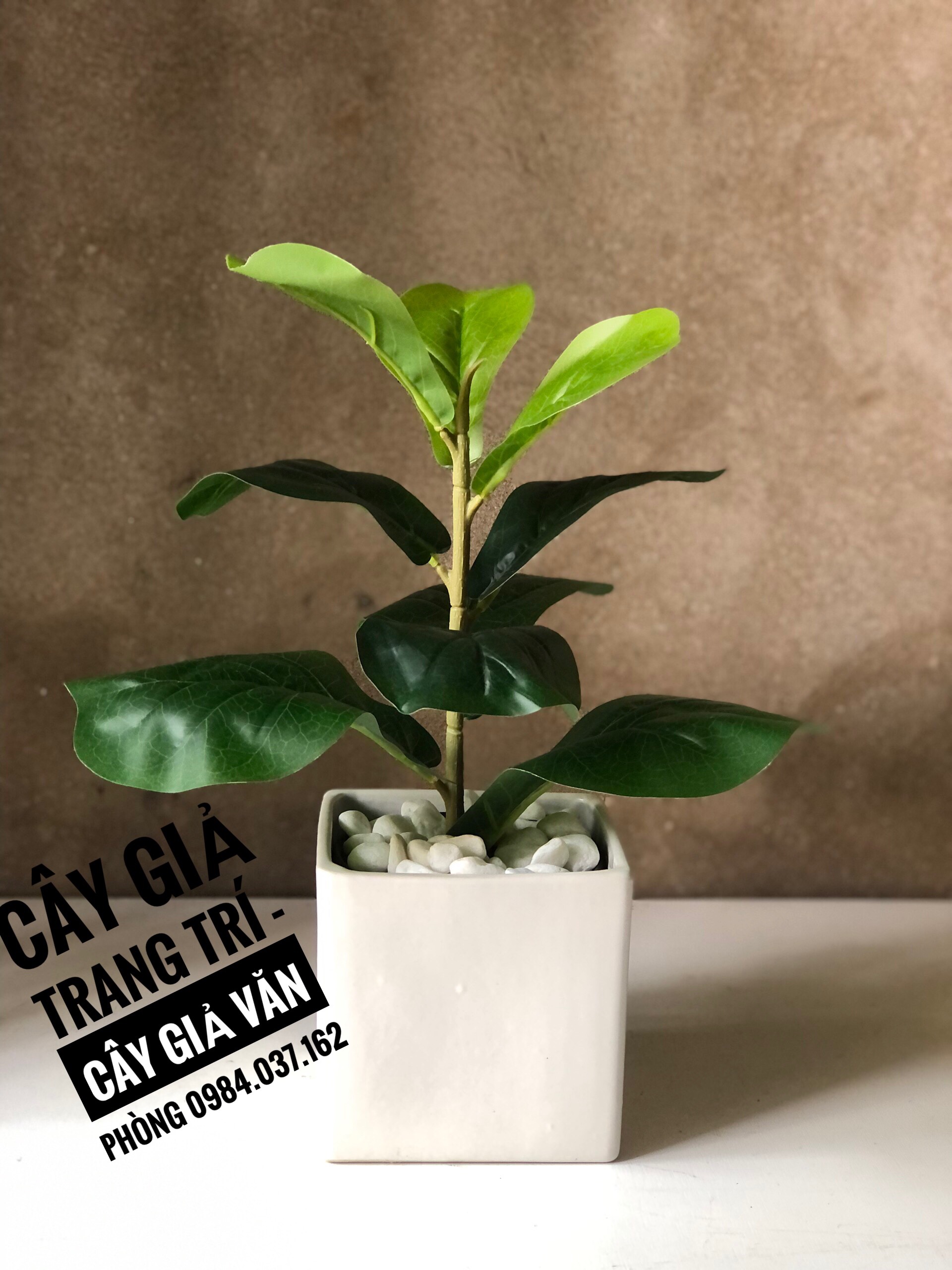 Cây Bàng Singapo Giả Mini Để Bàn- Cây Giả