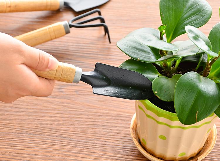 ⚡⚡ [HOT SALE] [GARDEN TOOL] BỘ 3 DỤNG CỤ CHĂM SÓC CÂY CẢNH MINI FN1550 FUNO