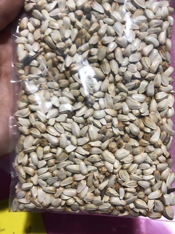 [HCM]Hạt Kham trắng dinh dưỡng cho hamstersóc ...
