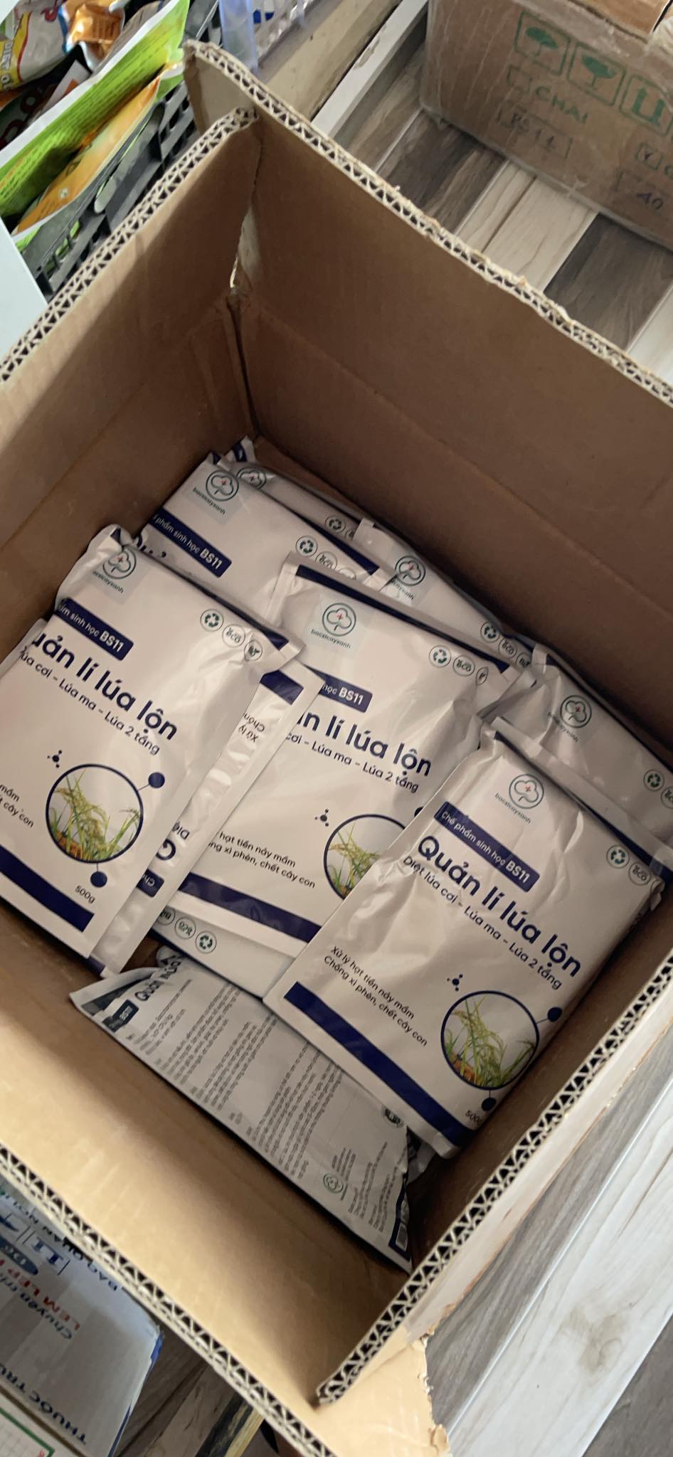Chế phẩm BS11 - Quản lý lúa lộn: Xử lý lúa ma, lúa lộn, lúa cơi, lúa hai tầng