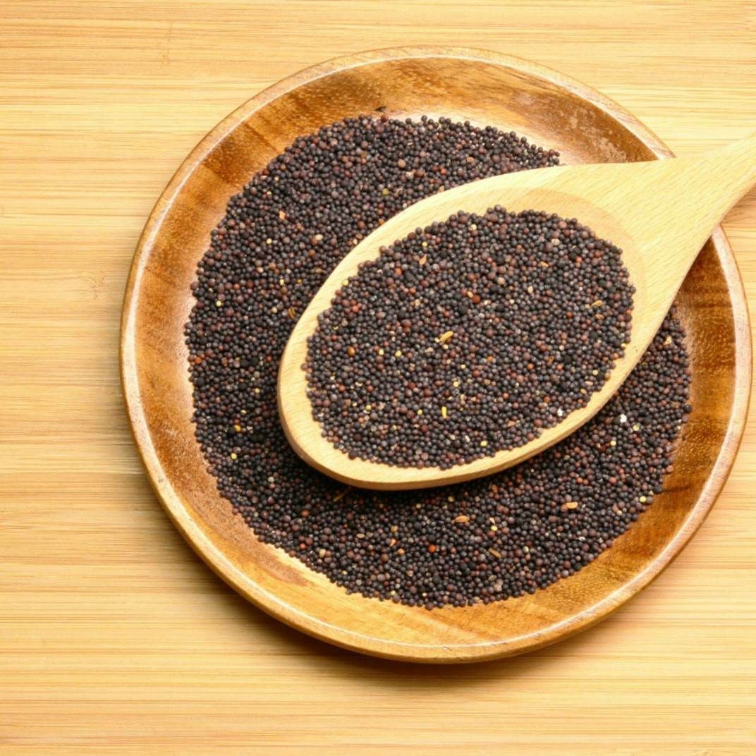 Hạt Giống Cải Mù Tạt Đỏ 1gr
