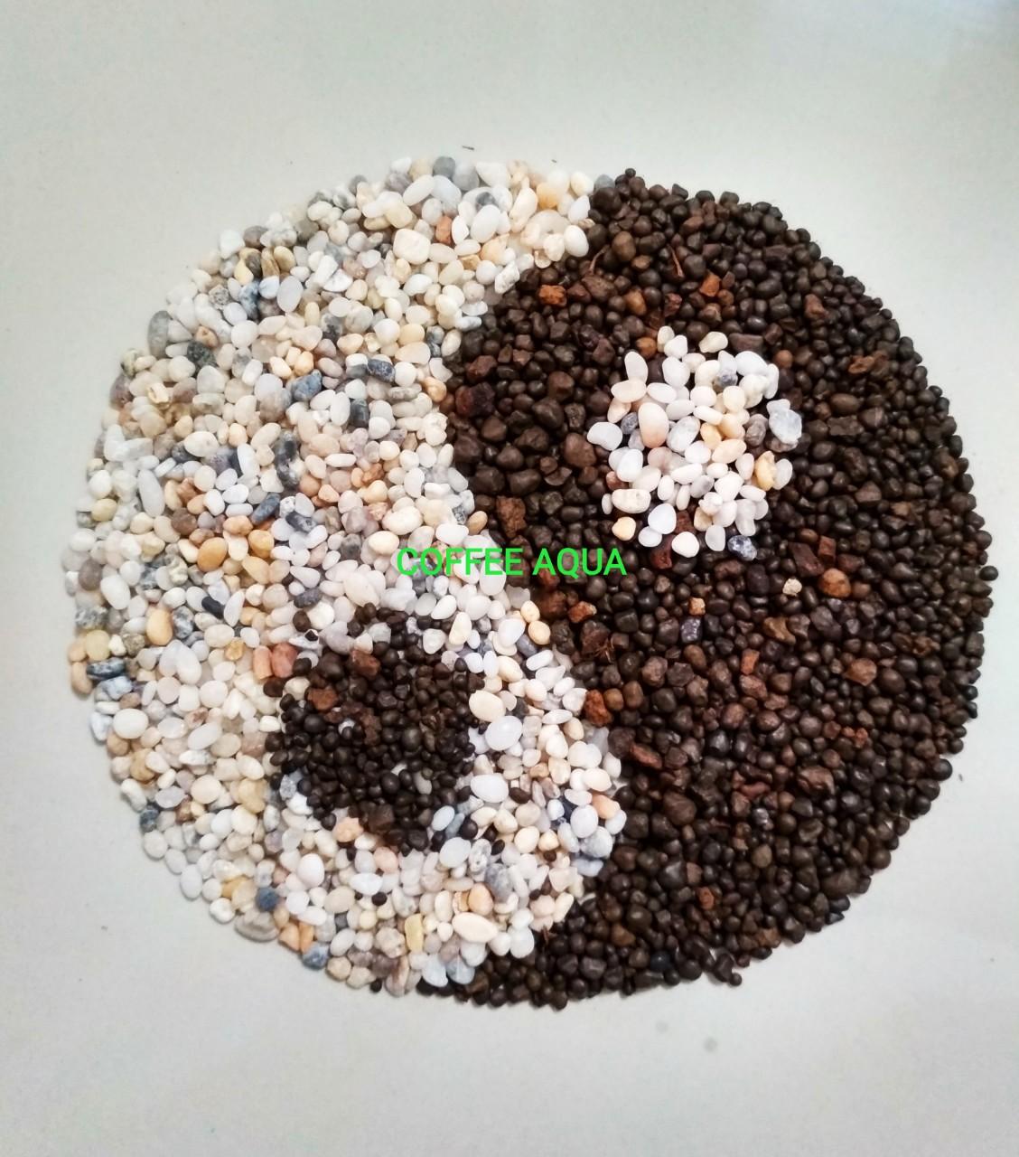 Sỏi biển sỏi 3 màu