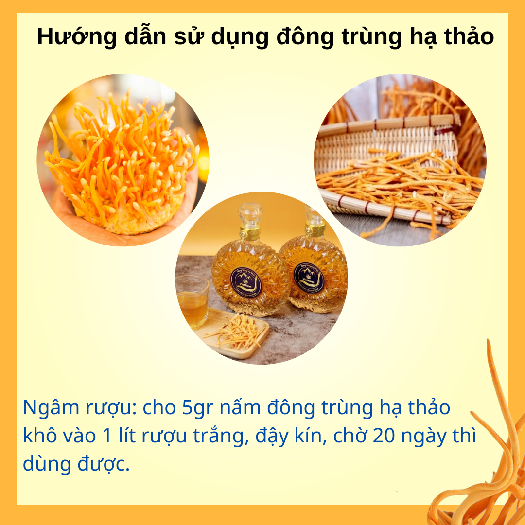 Đông trùng hạ thảo sấy thăng hoa dạng sợi [túi zip]