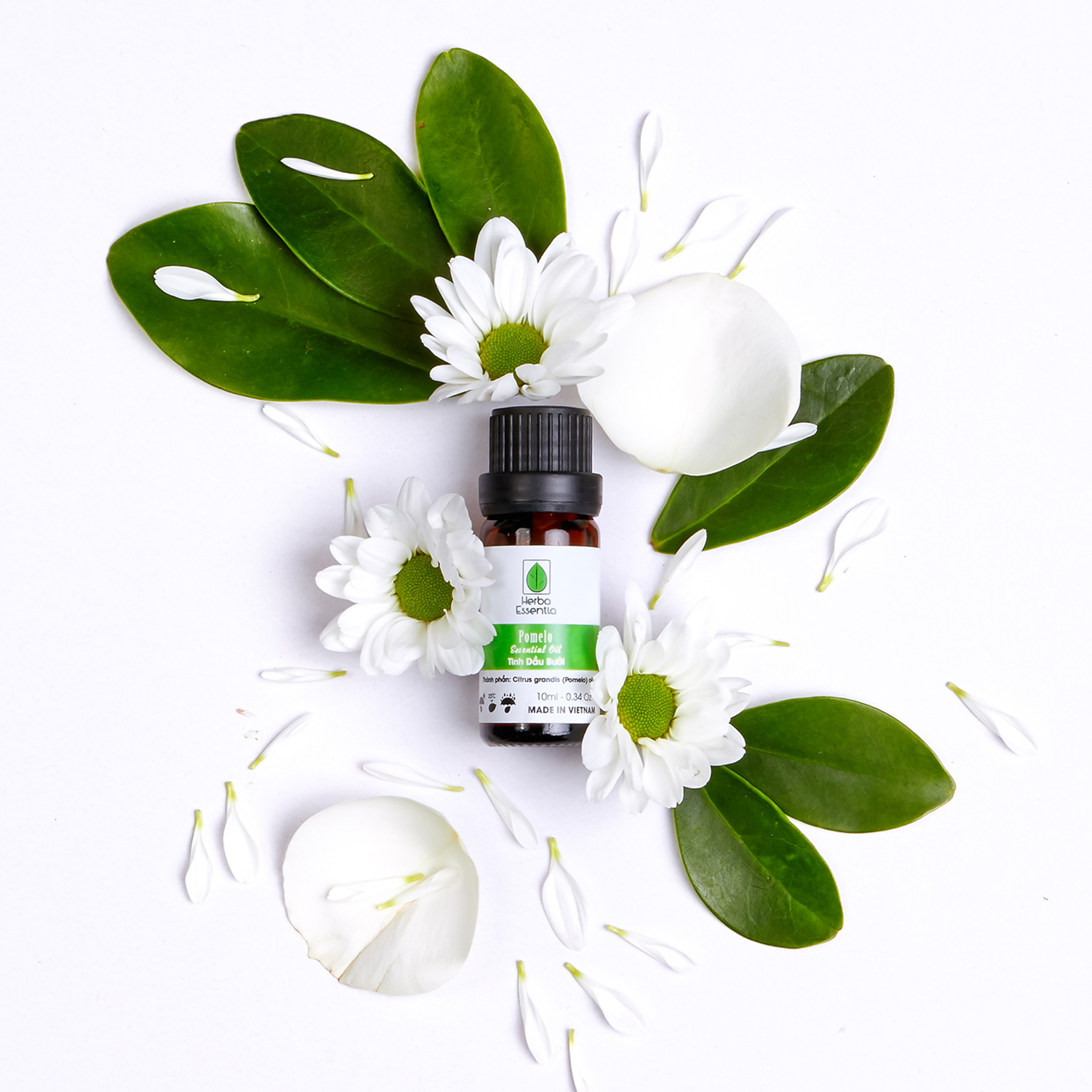Tinh dầu Bưởi nguyên chất mọc tóc cao cấp, 10 ml