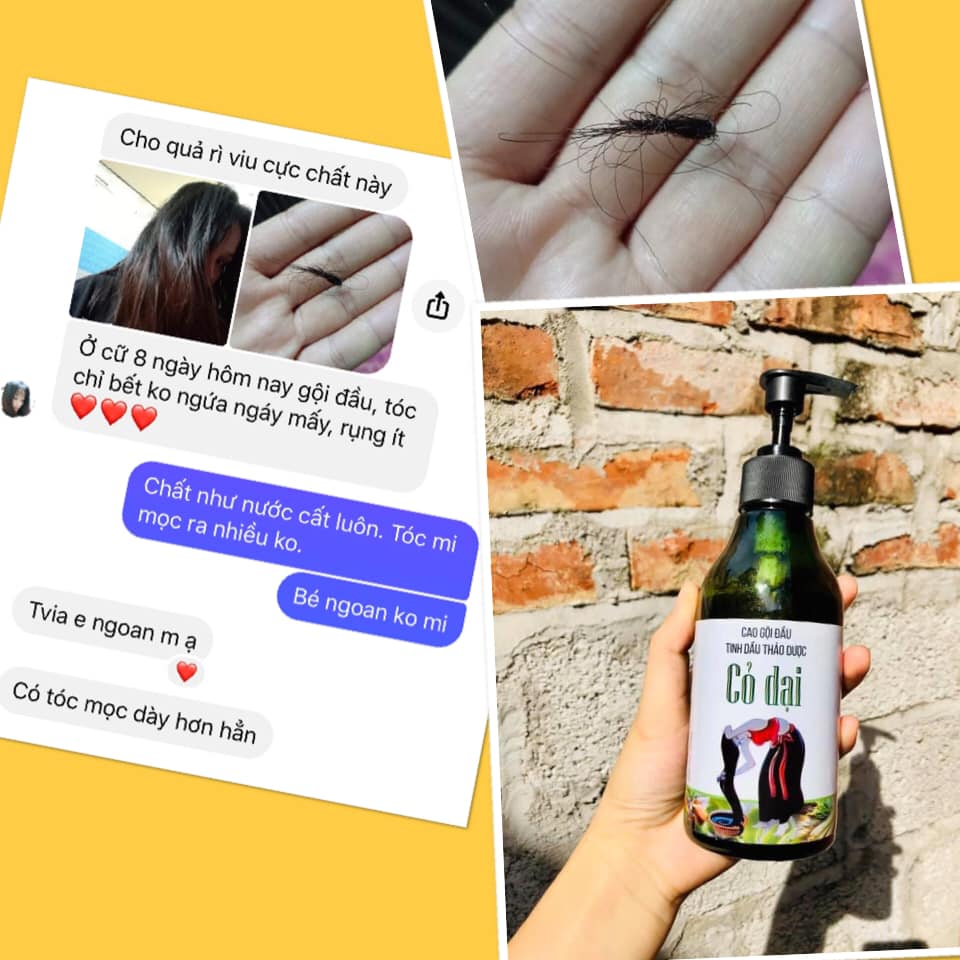 Cao gội đầu Thảo dược Cỏ dại
