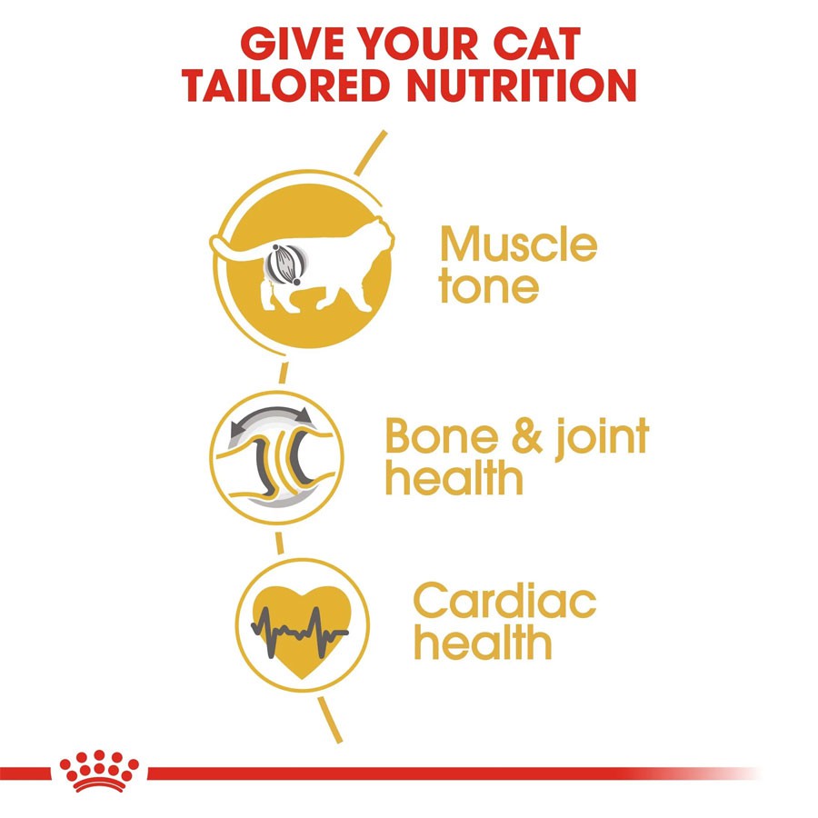 Thức Ăn Hạt Cho Mèo Anh Lông Ngắn Trưởng Thành Royal Canin British Shorthair Adult