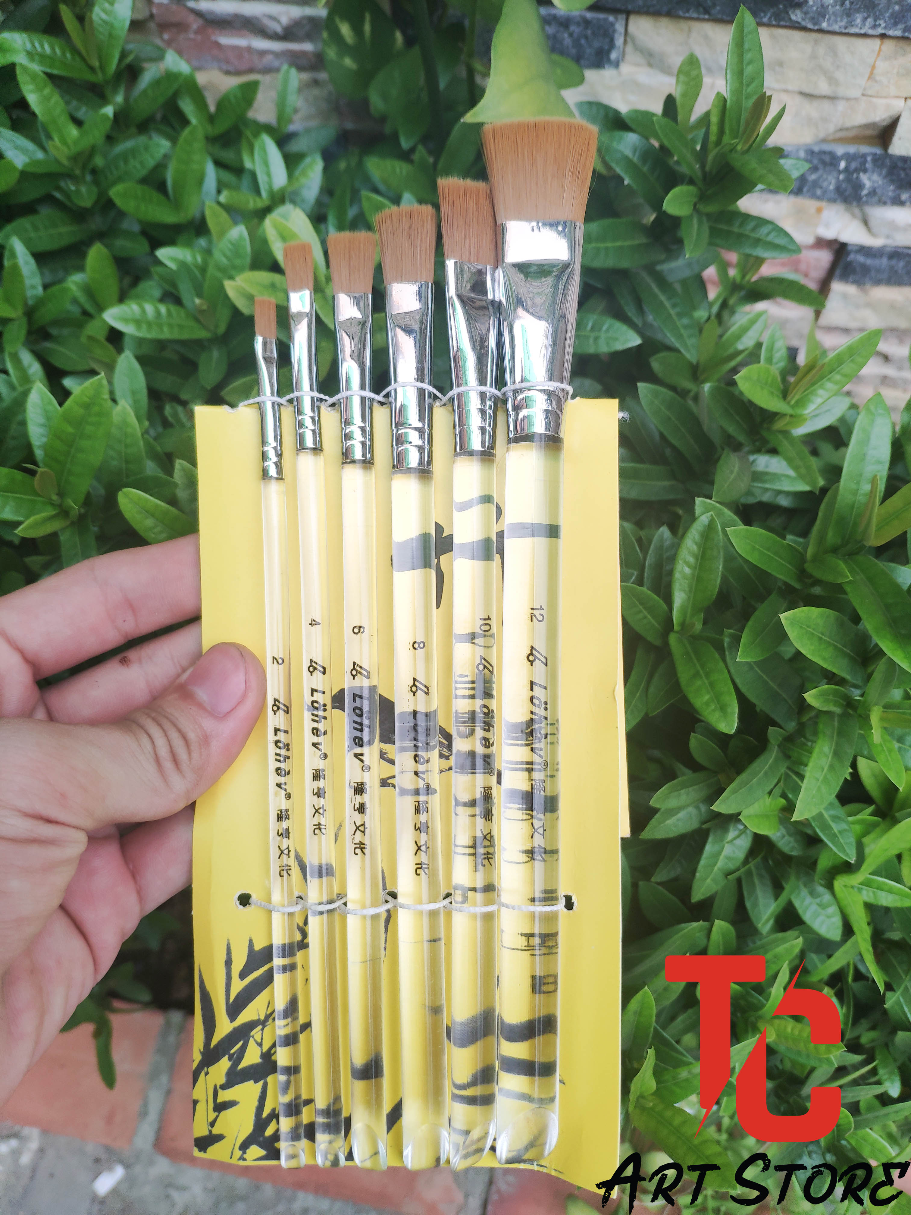 [TC Art Store] BỘ CỌ CÁN TRONG LOHEV 586 ( BỘ 6 CÂY)