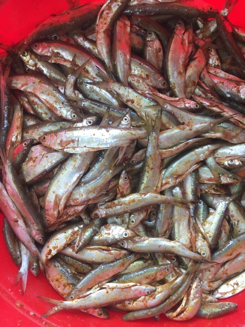 cá mương hồ thác bà-1kg
