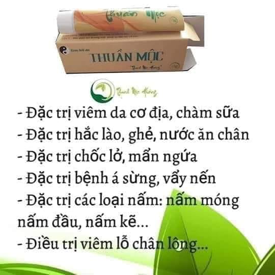 THUẦN MỘC - Thanh mộc hương