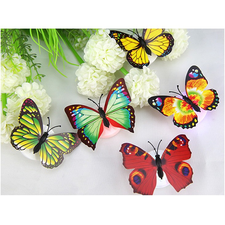 [HCM]BỘ 12 ĐÈN LED CON BƯỚM PHÁT QUANG DÁN TƯỜNG (TẶNG 1 ĐÈN LED USB)