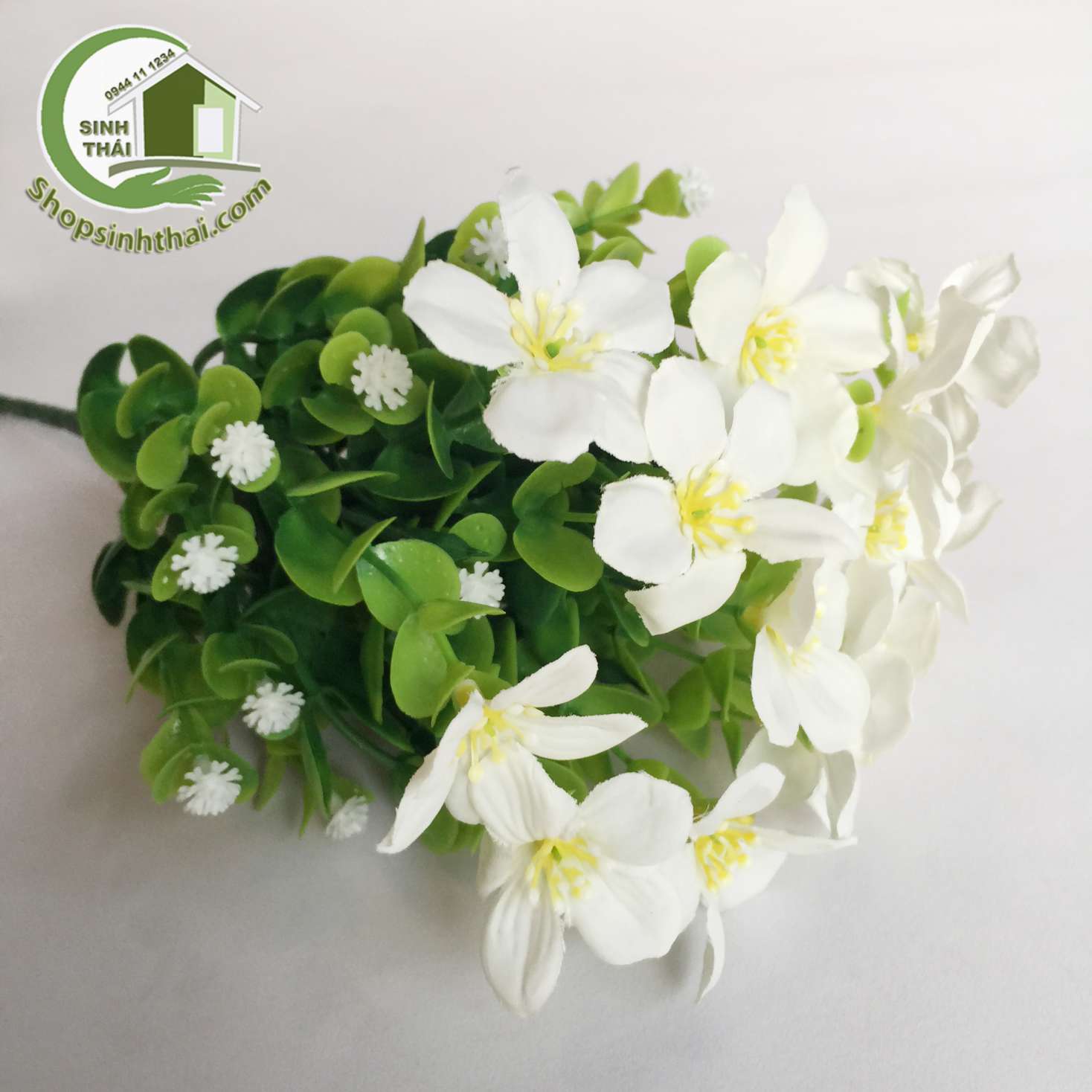 [HCM]Bụi cây hoa lài tây màu trắng cao 33cm [ Tổng kho ]