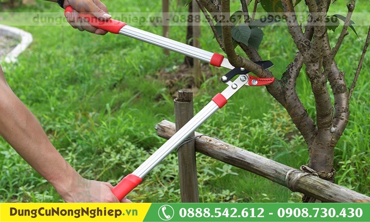 Kéo cắt cành cộng lực 9741