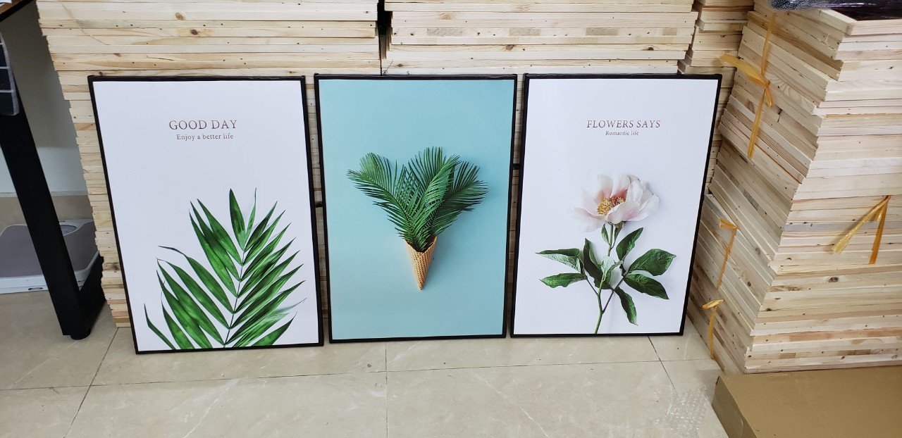 Bộ 3 bức tranh treo tường đơn giản thanh lịch