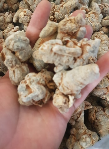 Củ Tam Thất Bắc Khô 100g ( loại 5 củ )