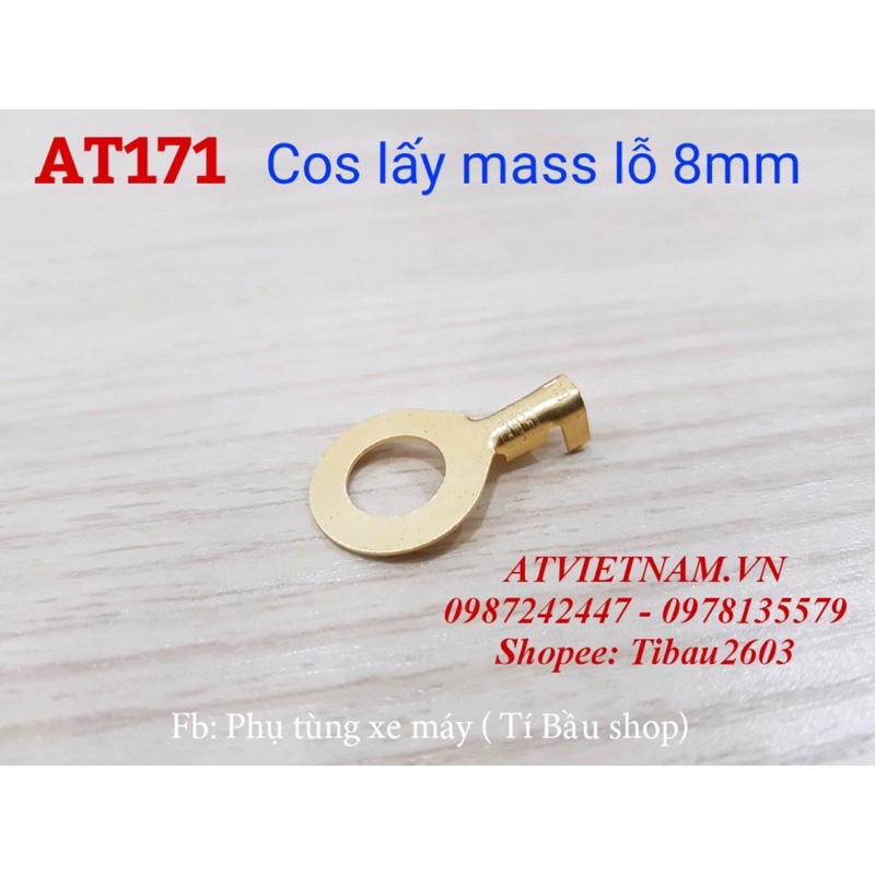 Cos lấy mass lỗ 8mm , cose mass size 8mm - AT171 ( bịch 50 cái)