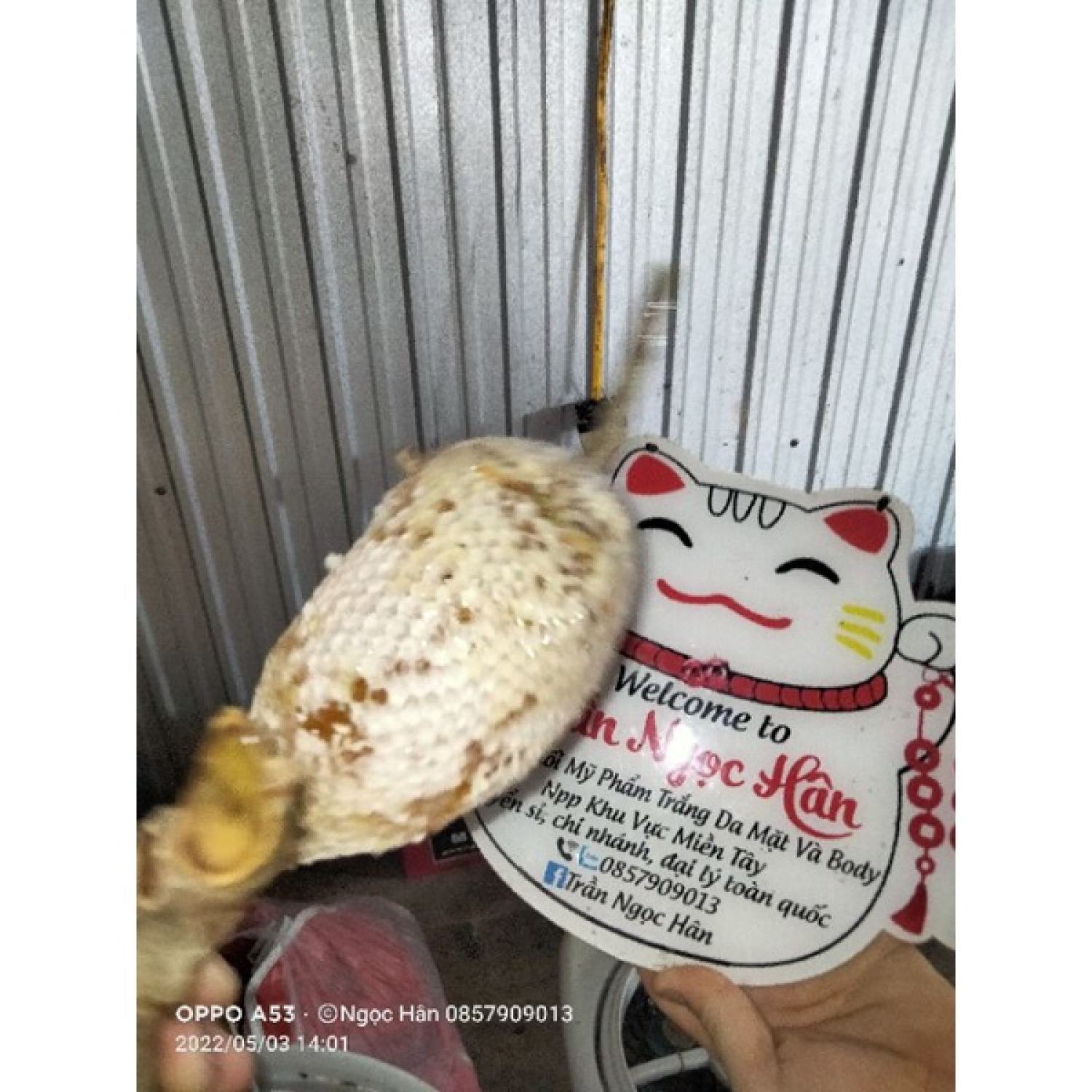 Mật ong ruồi nguyên chất