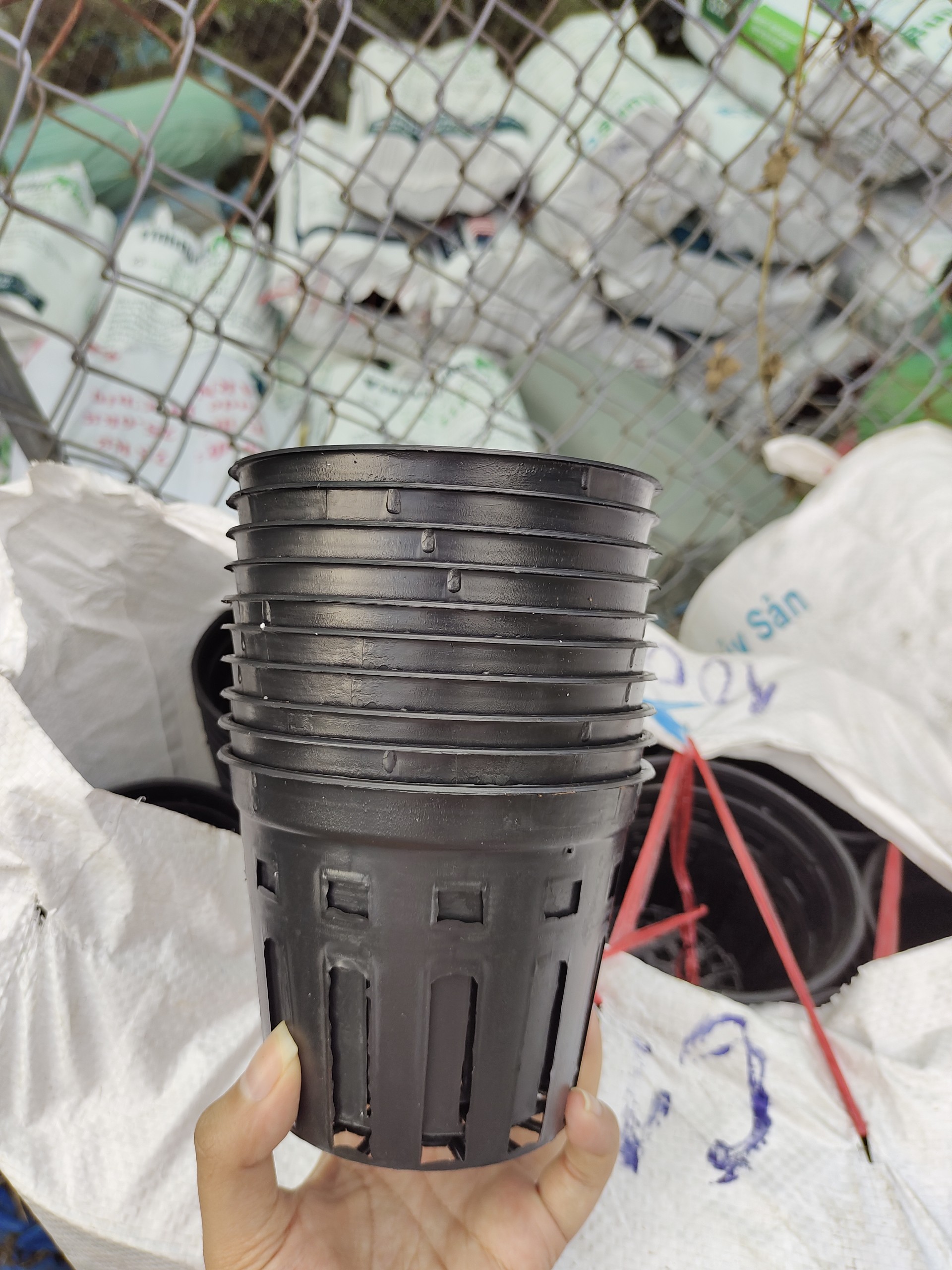 Combo 10 chậu nhựa trồng lan Phi 12cm