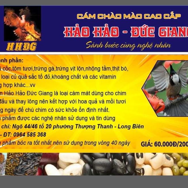 [HCM]Cám chào mào hảo hảo