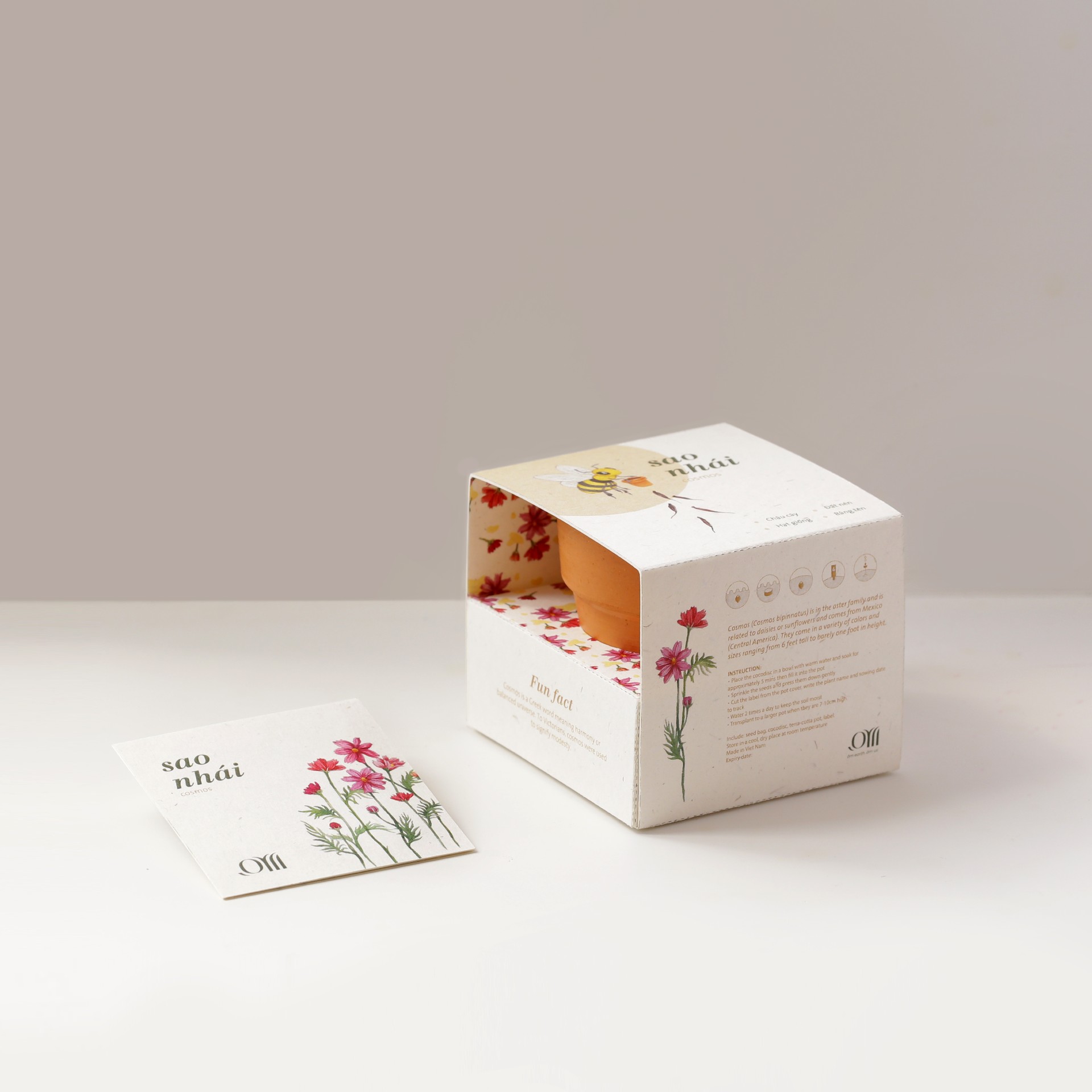 Kit Trồng Cây Mini - Hoa Sao Nhái