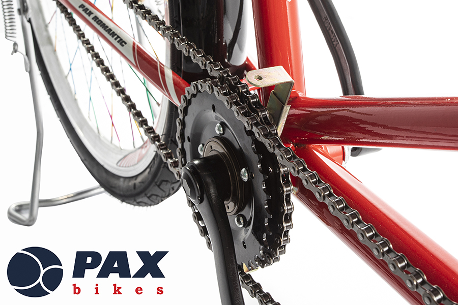 [HCM]Xe đạp đôi PAX-3