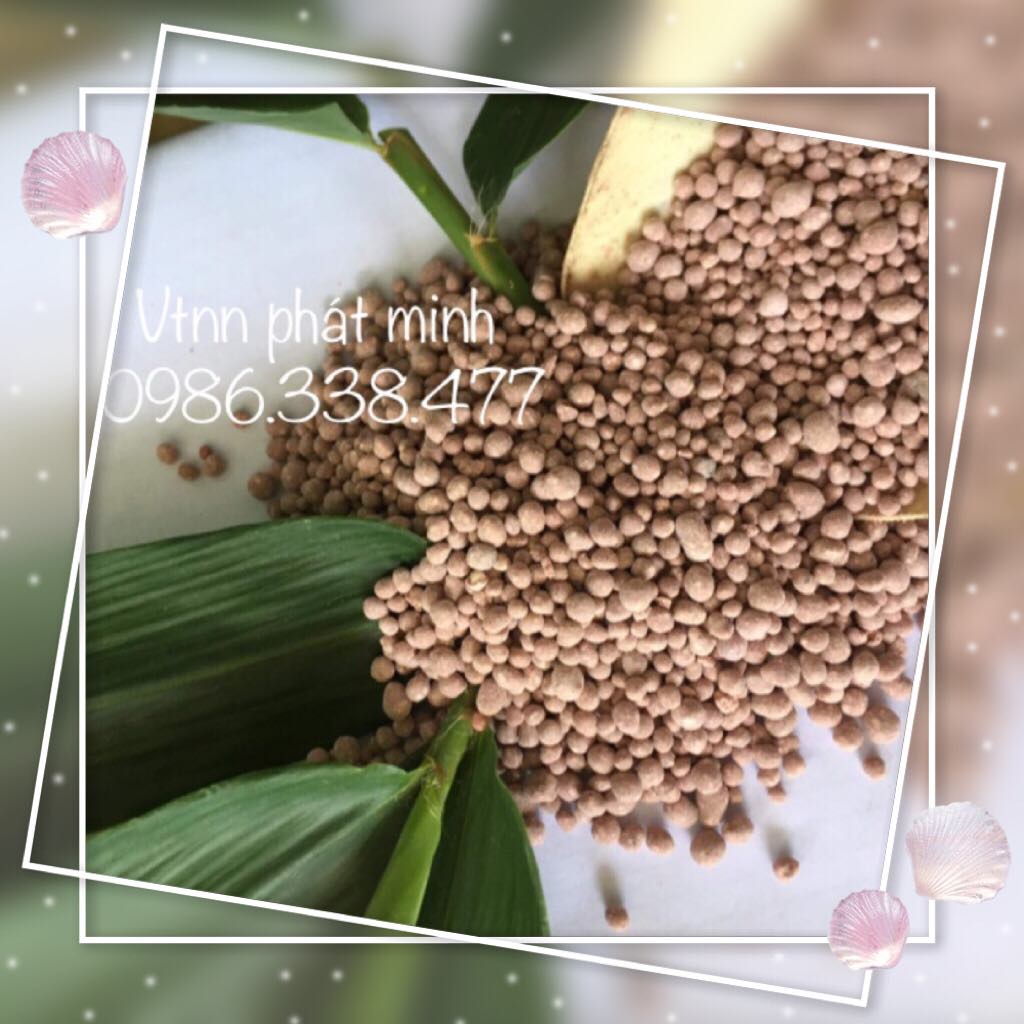 Phân NPK 16-16-8 USA (1KG)