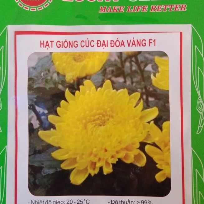 COMBO 5 gói hạt giống hoa cúc đại đóa vàng ( TẶNG gói kích thích hỗ trợ hạt nảy mầm)