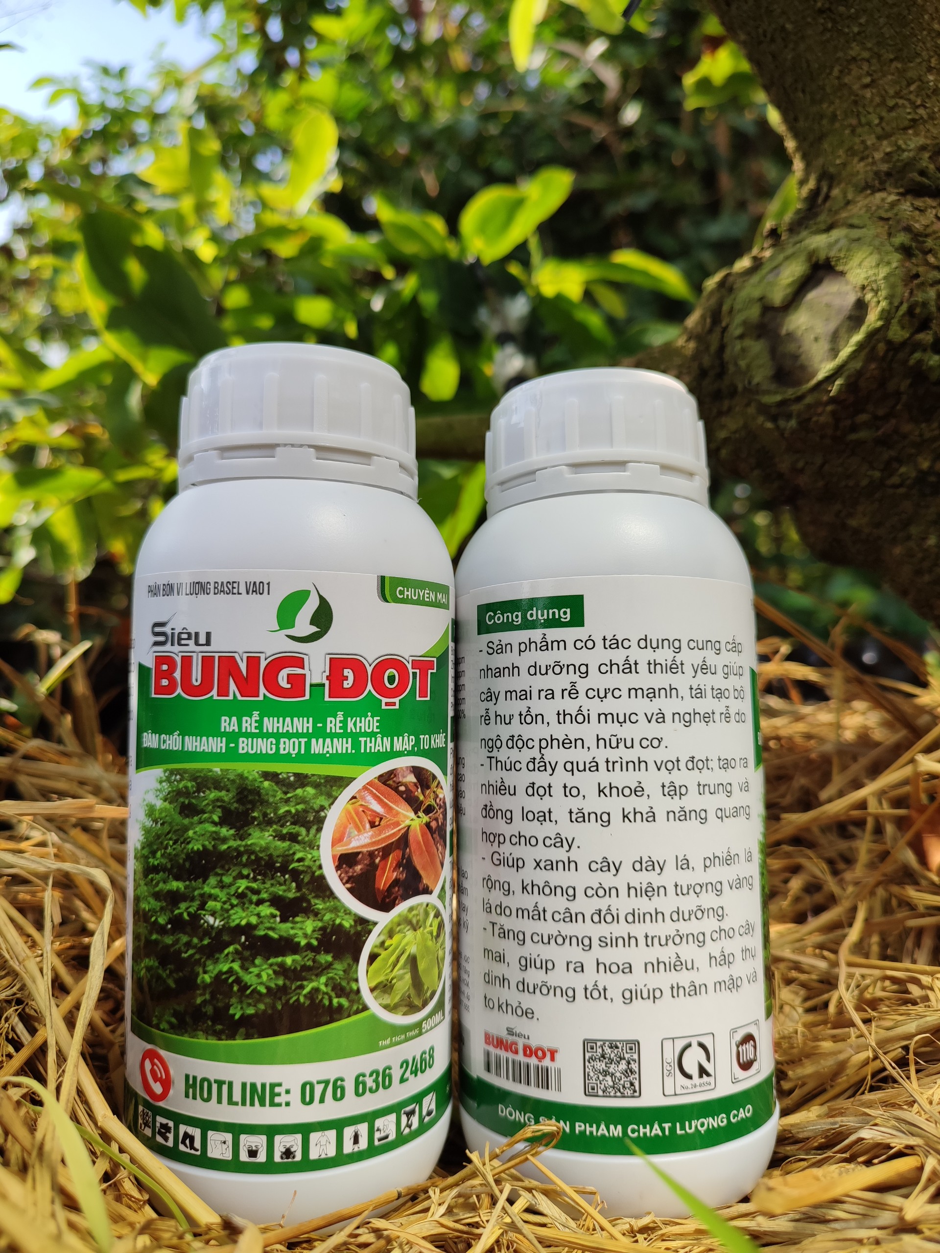 BUNG ĐỌT RA RỄ MAI VÀNG 500ML