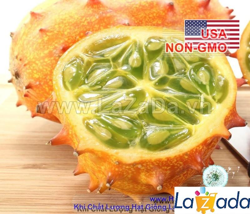 5h Hạt Giống Dưa Chuột Gai Chịu Nhiệt Kiwano (A2.203| B46*V43*M178)