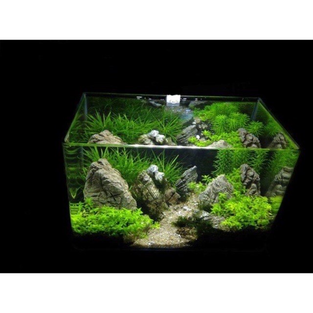 Hồ thuỷ sinh mini, combo 8 món set up hồ thuỷ sinh mini