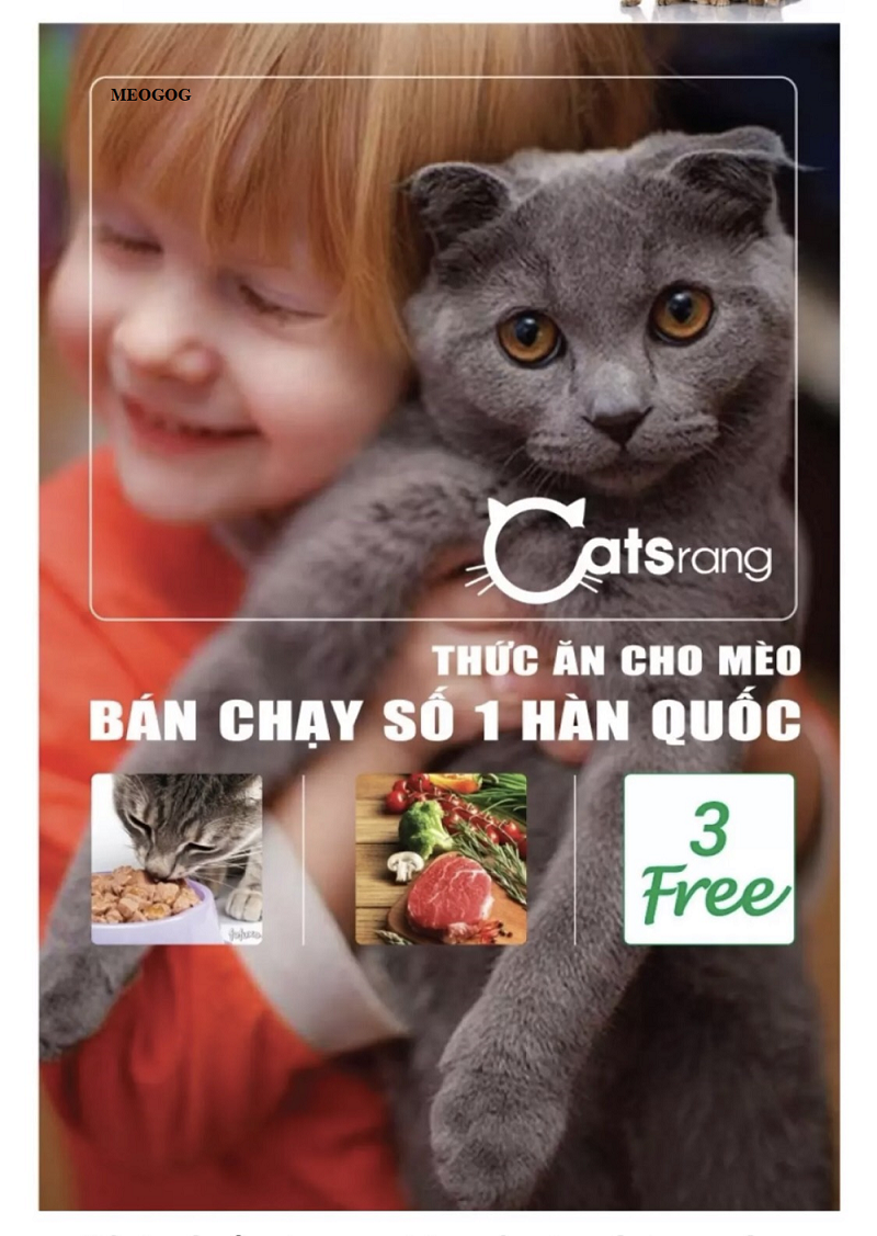 Thức ăn hạt cho mèo con Catsrang Kitten 400gr MEOGOG