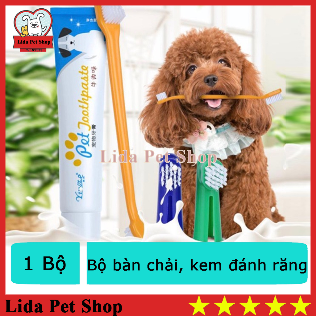 HN- Bộ Bàn Chải Và Kem Đánh Răng Cho Chó Mèo - tuyp 75g - Lida Pet Shop