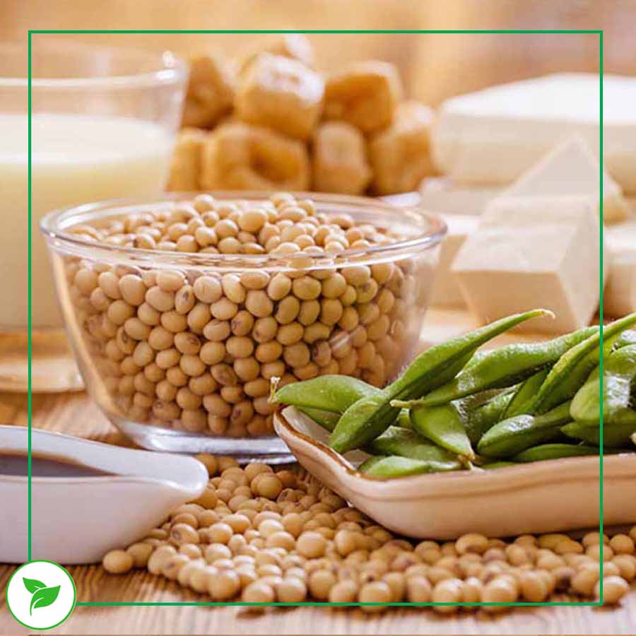 Hạt Đậu Nành, Đậu Tương Vàng Thơm Thuần Chủng - 100g