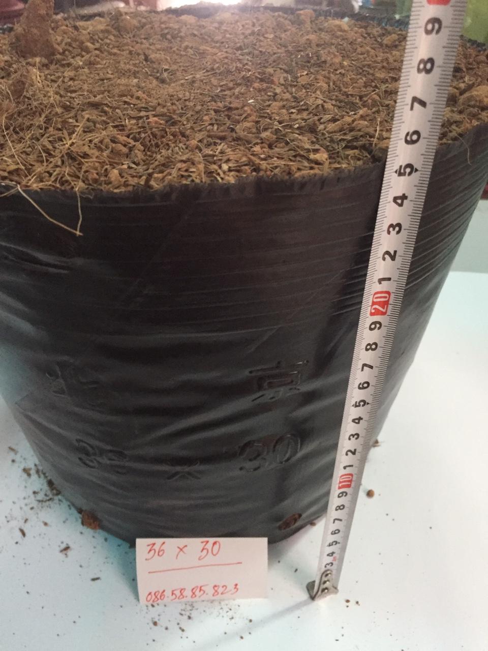Set 10kg túi bầu ươm cây bằng nhựa dẻo (Bịch bầu cây) Cỡ 36x30