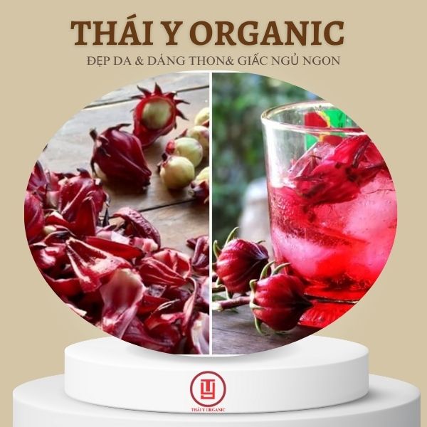 Trà Atiso sấy khô 200G -Thái Y MEDICINE
