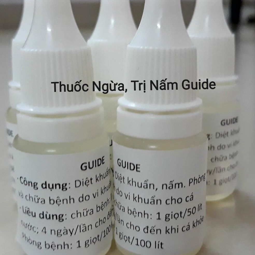 [HCM]Guide  dành cho cá