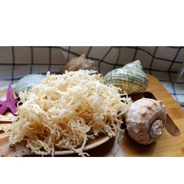 Rong Sụn Rong Biển Trắng 1Kg