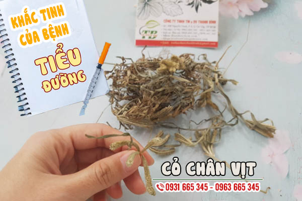 Cỏ Chân Vịt Khô 1KG - Thảo Dược Thanh Bình