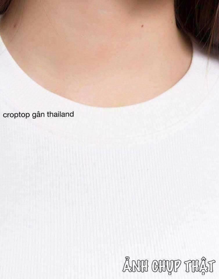 Aó croptop thun gân Thailand (FREESHIPMAX)