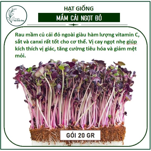 Hạt Giống Rau Mầm Cải Ngọt Đỏ
