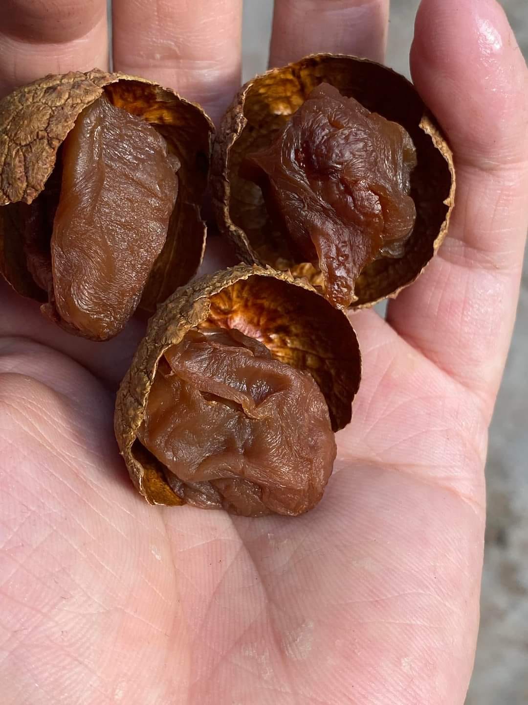 Vải Thiều Sấy Khô Bắc Giang 500 Gram