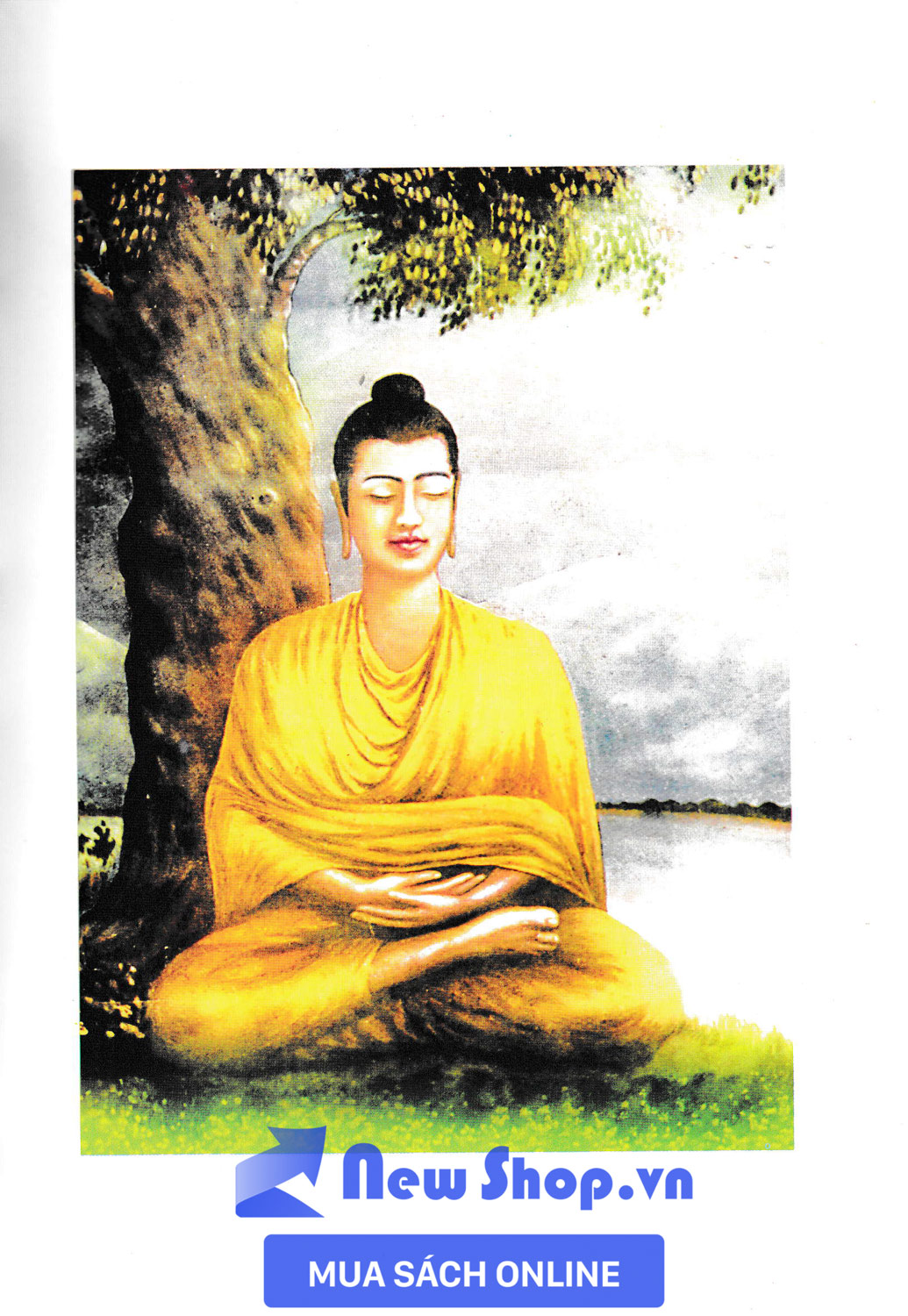 Sách - Dị Tông Luận - Newshop