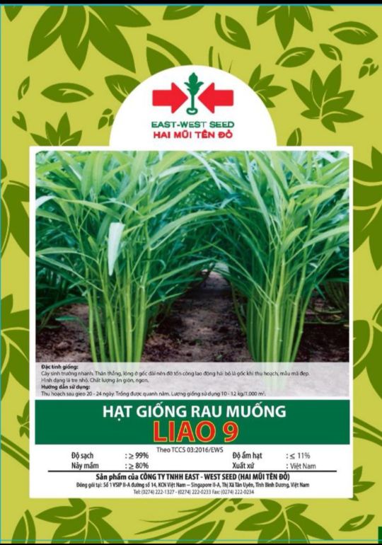 Hạt giống rau muống 100gram dsfdsf