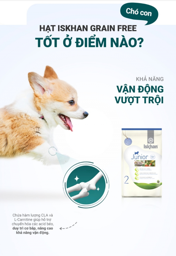 [1,2 kg] Thức ăn hạt ISKHAN JUNIOR dành cho chó nhỏ túi 1,2kg
