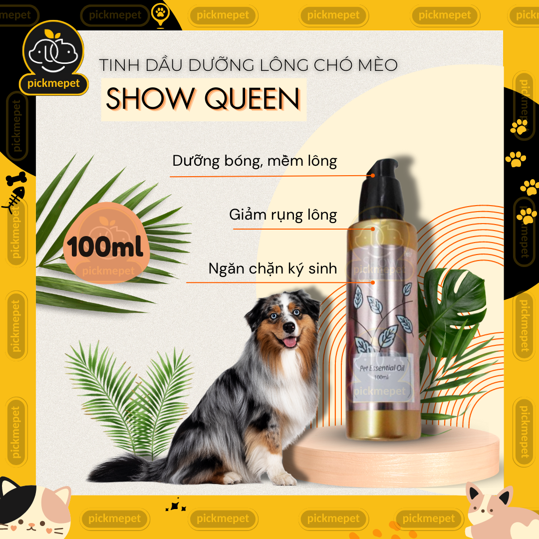 Show Queen Hair Care Essential Oil - Super Fragrant, Stimulates Hair Growth