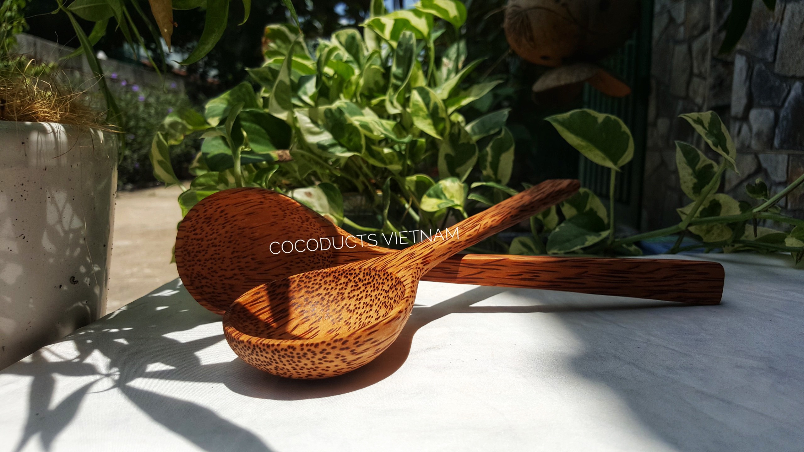 [HCM]Vá muôi múc canh gỗ dừa