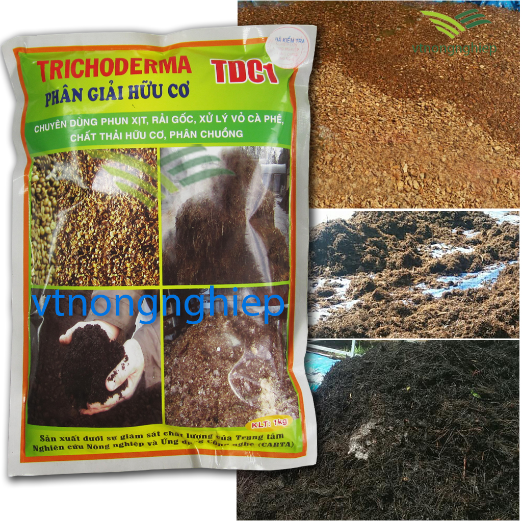 Chế phẩm sinh học men vi sinh chứa nấm Trichoderma TDC1-SUN chuyên dùng phun xịt, rải gốc, xử lý chất, rác thải hữu cơ, gói 1kg