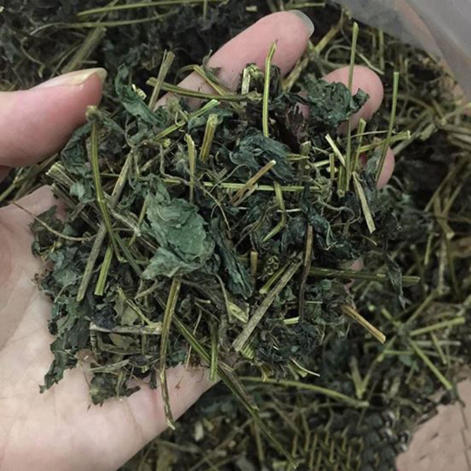 GIảo cổ lam khô thượng hạng Bách An Khang 1kg phòng ngừa u.ng th_ư cực tốt