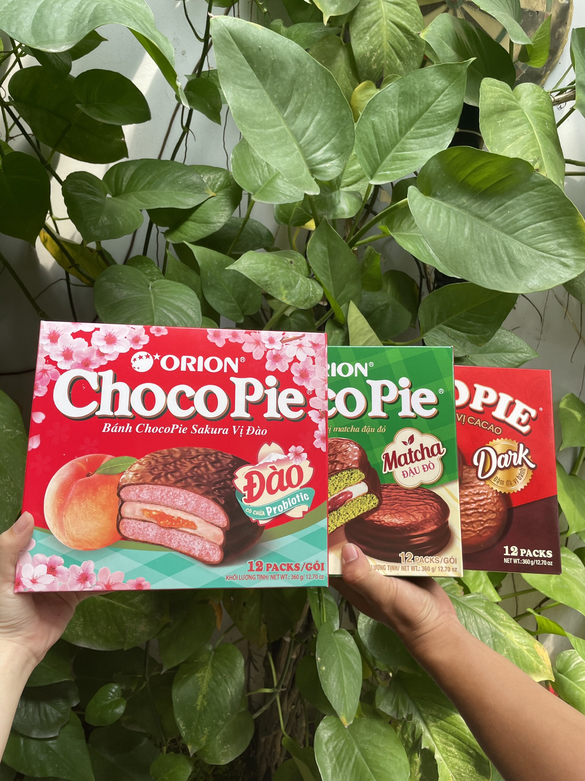Bánh Choco Pie Orion (Hộp 12 cái)